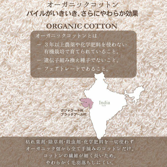 エアーかおる DEO なでしこ 純ギラ銀 32cm×14cm 魔法の撚糸 岐阜県 浅野撚糸 純銀の糸 吸水性 軽量 抗菌 まとめ買い 柔らかい 綿100％ オーガニックコットン エアータオル 速乾タオル 単品 はんかち ハンカチ 日本製 スーパーZERO ミューファン タオル 小さい ハンドタオル