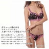 ふっくら デコルテ 3/4カップ ブラジャー 2371AD 下着 セクシー ランジェリー 日本製 女性 レディース インナー ブラジャー 単品 大きいサイズ 勝負下着 女子力アップ リボン ワイヤー 単品 ブラジャー c d e 母の日 ギフト レース　C D E カップ 渡辺商店