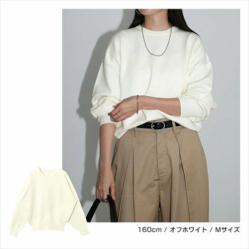 クルーネック 長袖 ニット トップス レディース プルオーバー ド ベーシック ボリューム袖 ニットトップス 秋冬 女性 TOPS ゆったり 楽ちん きれいめ おしゃれ かわいい カジュアル オフィス 女性 春 秋 冬 レディーストップス トップスシンプル セーター