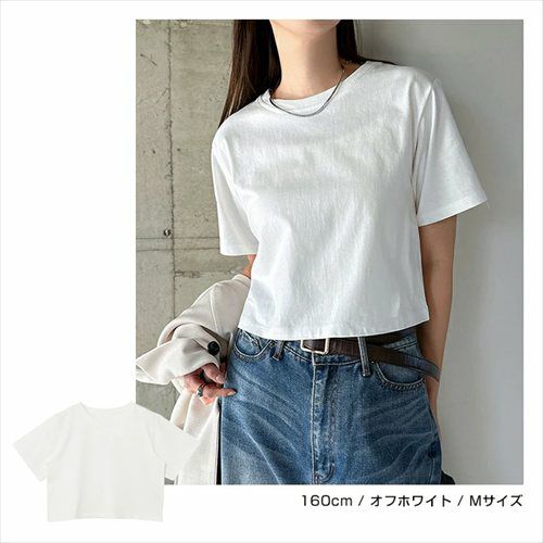 汗染み防止 ショート丈 半袖 Tシャツ レディース トップス カットソー 半袖Tシャツ 汗じみ 機能性 インナー 体型カバー 二の腕カバー コットン 無地 ベーシック トレンド オフィス 汗染み対策コットン ナチュラル 女性トップス 上品 春 夏 秋 綿100％ 送料無料 【mail】 t03