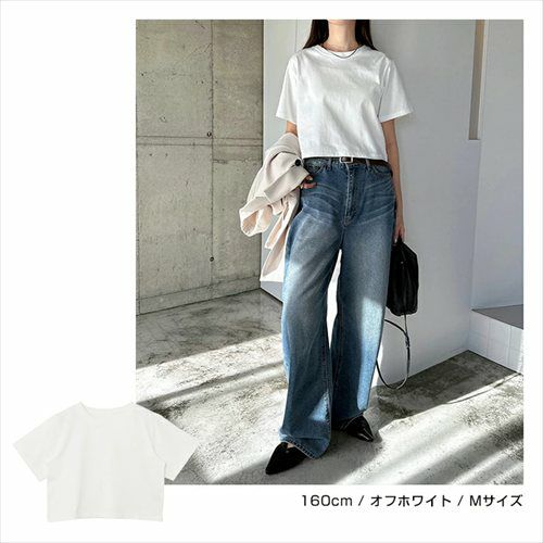 汗染み防止 ショート丈 半袖 Tシャツ レディース トップス カットソー 半袖Tシャツ 汗じみ 機能性 インナー 体型カバー 二の腕カバー コットン 無地 ベーシック トレンド オフィス 汗染み対策コットン ナチュラル 女性トップス 上品 春 夏 秋 綿100％ 送料無料 【mail】 t03