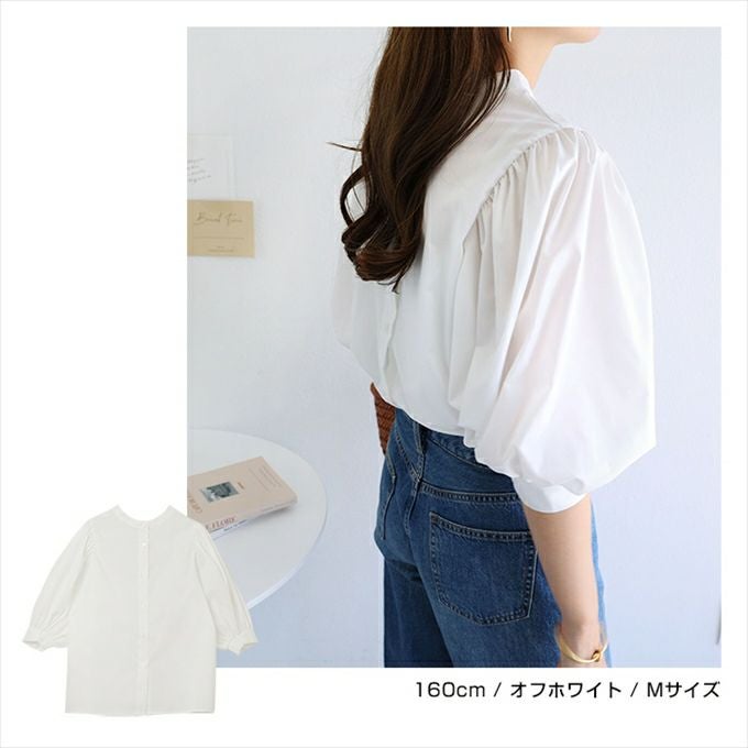 前後2WAY ボリューム袖 ブラウス シャツ レディース 5分袖 ブロード 袖ギャザー クラシカル 体型カバー 重ね着 トレンド感 こなれ感 大人 女性 トップス きれいめ おしゃれ かわいい カジュアル オフィス 女性 春 夏 秋 シンプル ストライプ Mサイズ 送料無料 【mail】